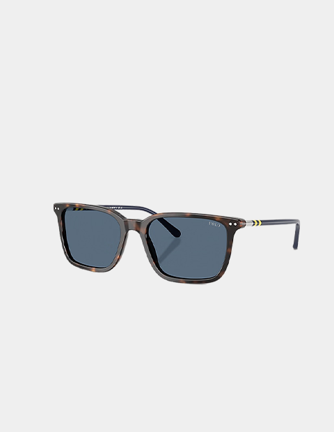 Polo Ralph Lauren: Heritage Rugby-Stripe Sunglasses