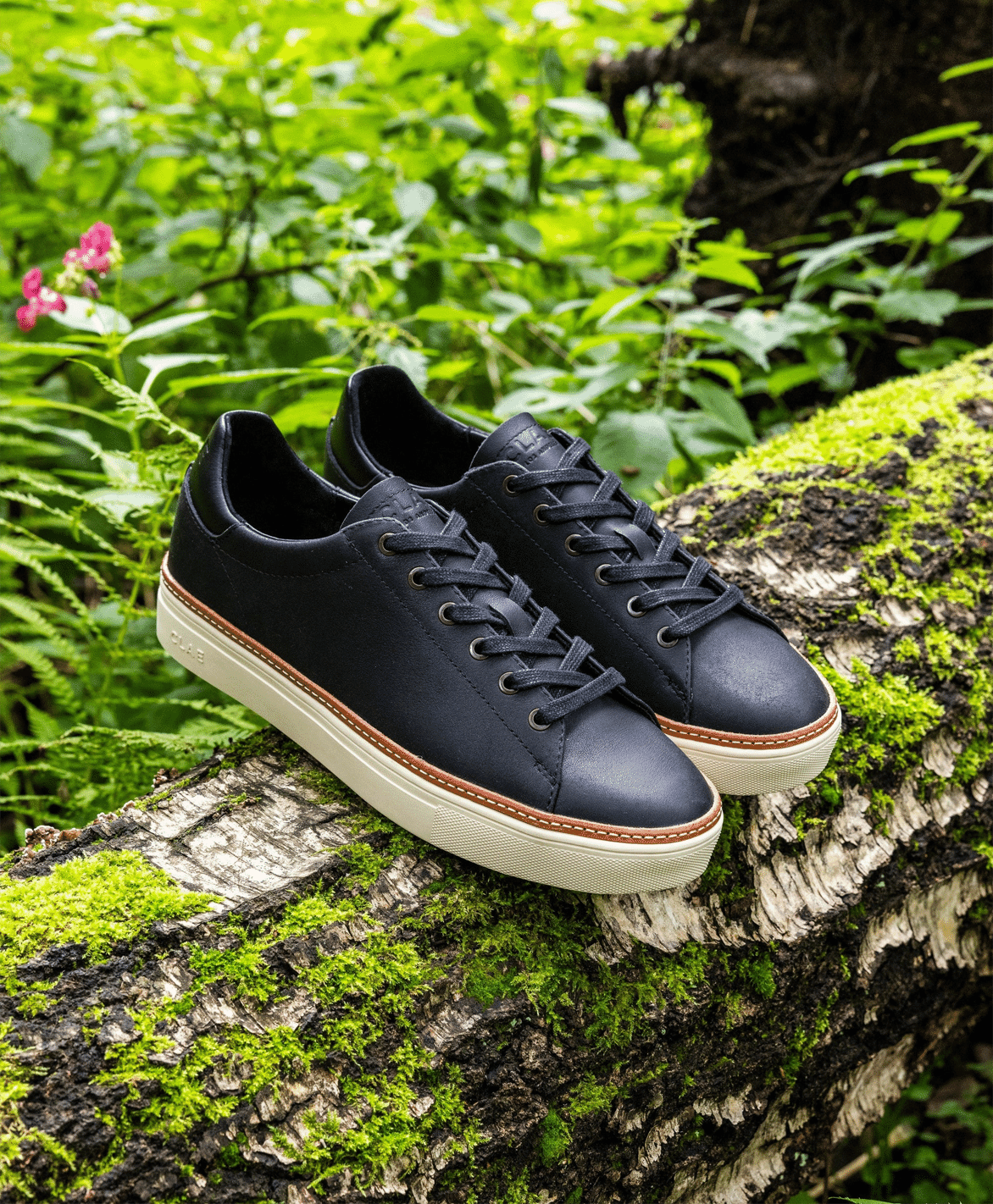 CLAE: BRADLEY WELT Trainer