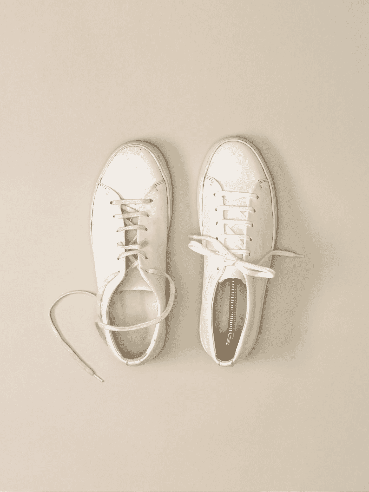 JAK: Royal White Trainer
