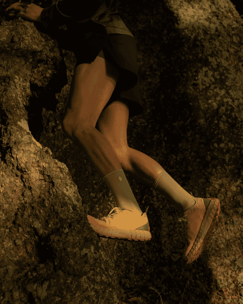 norda: 001 Rhodotus