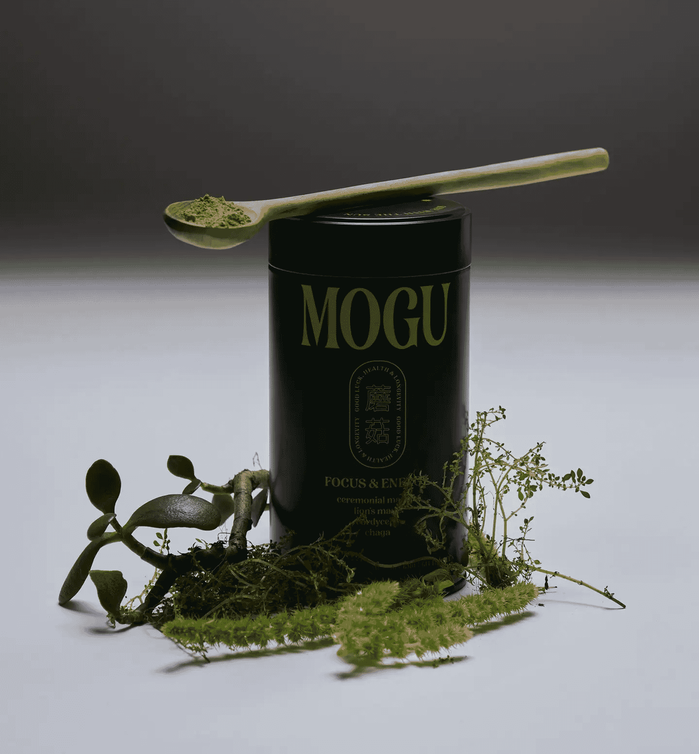 MOGU: Mushroom Matcha