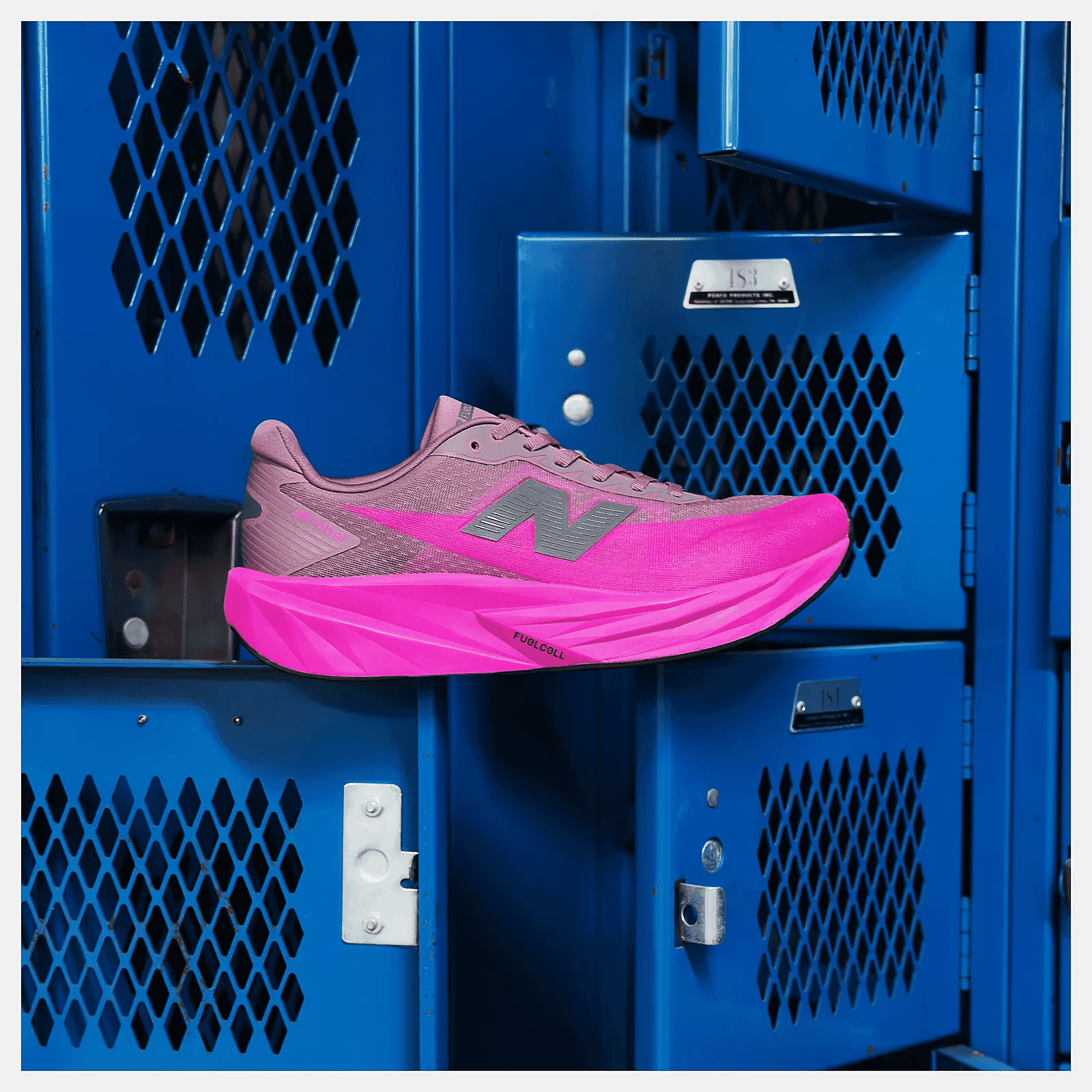 New Balance: FuelCell Rebel v5 Shoes