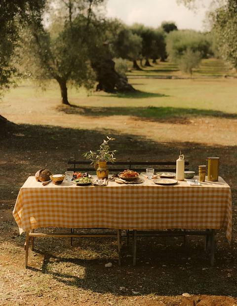 TOAST: Orchard Check Linen Cotton Tablecloth