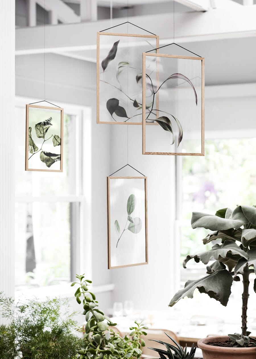 Floating Leaves 2