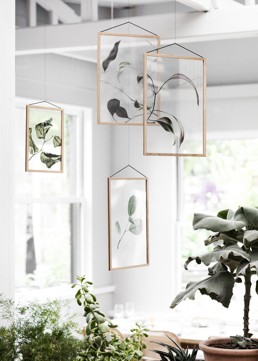 Floating Leaves 2