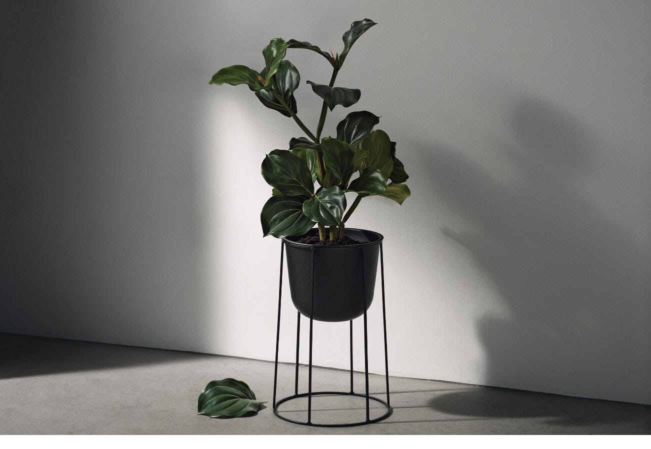 Pot Plants Plant Pots To Up Your Home | OPUMO Magazine