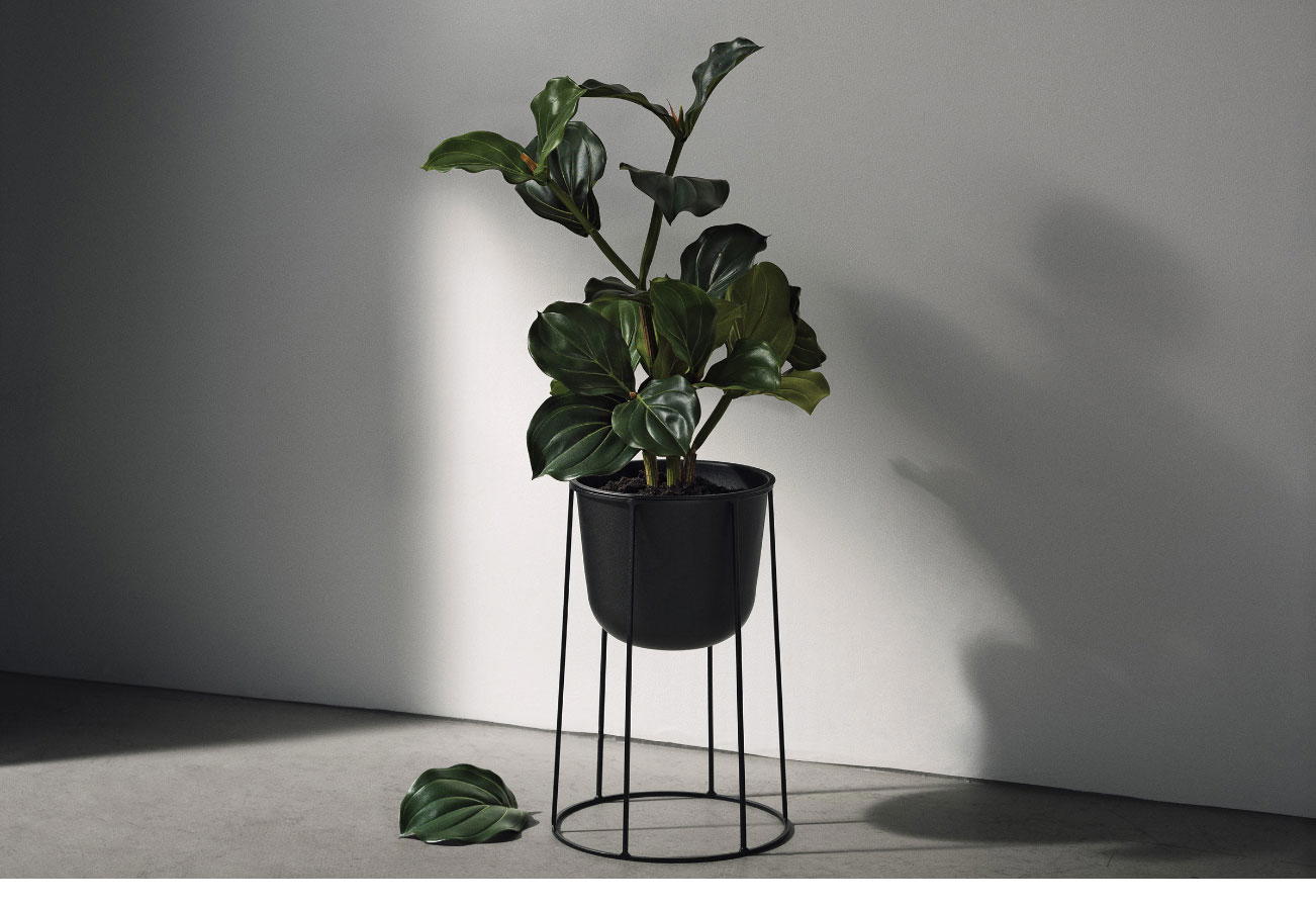 Plant Pots