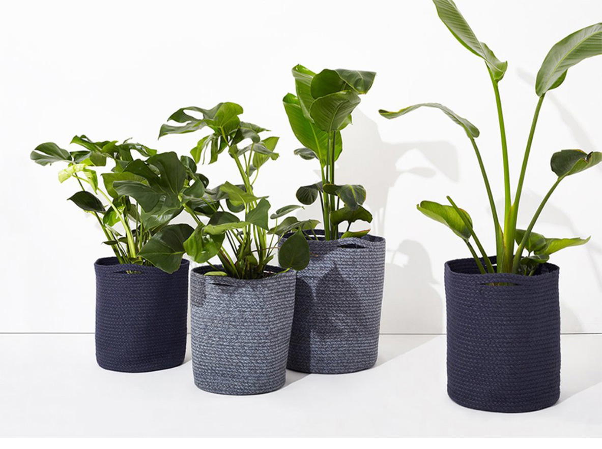 Plant Pots