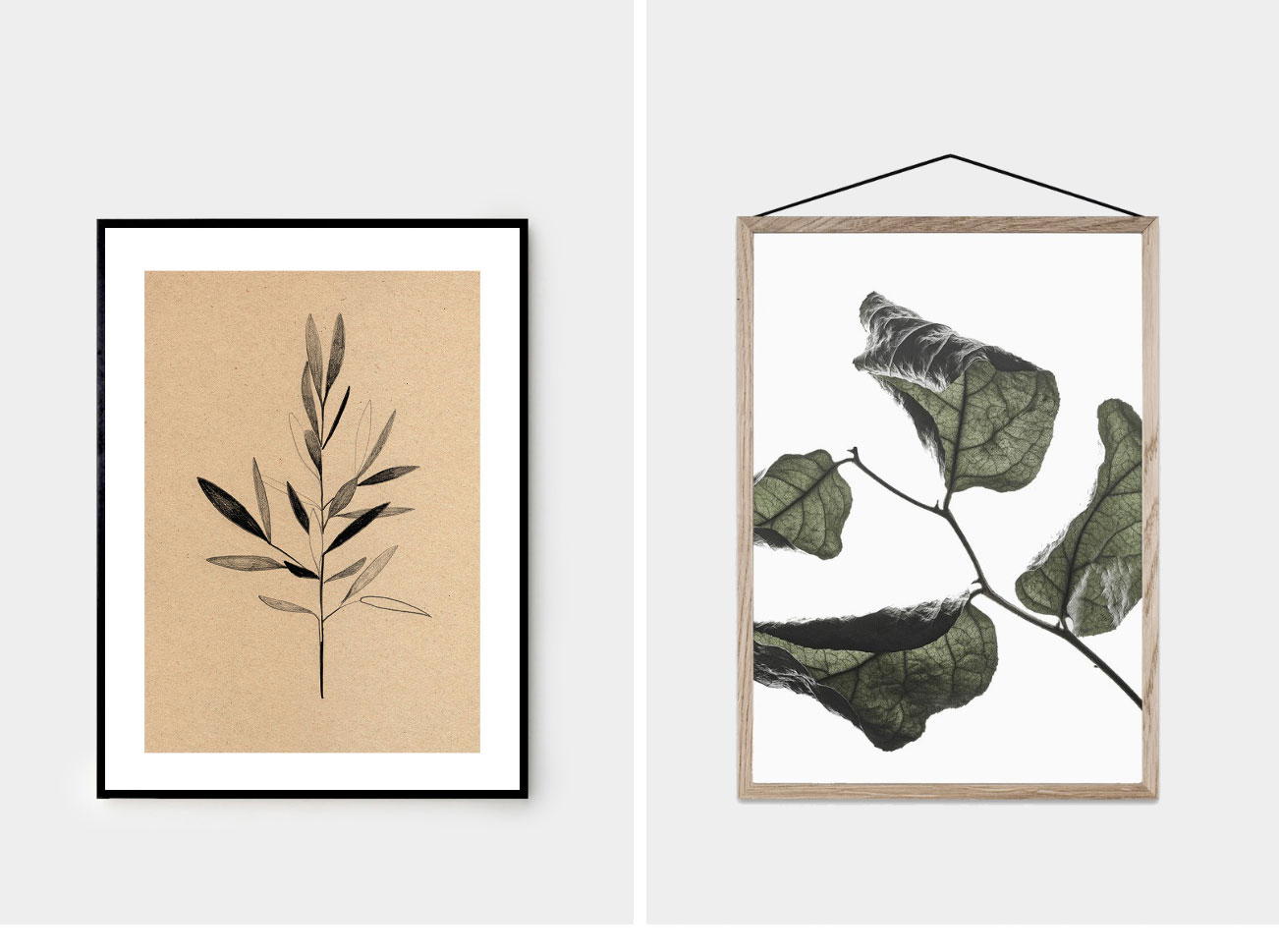 Plants in art
