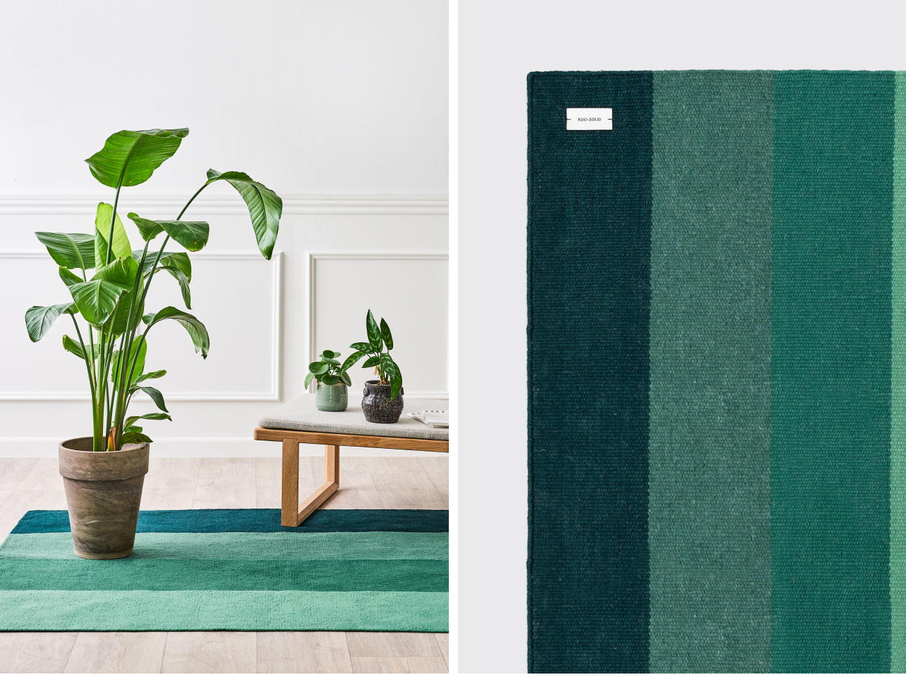 Rug Solid