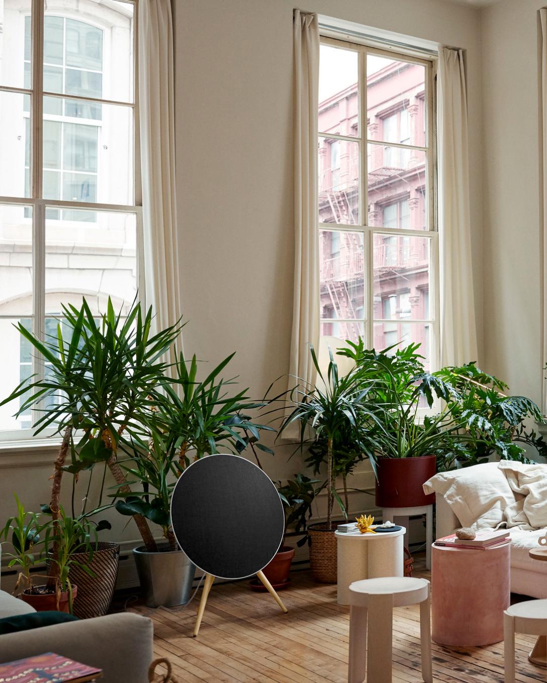 Home Audio