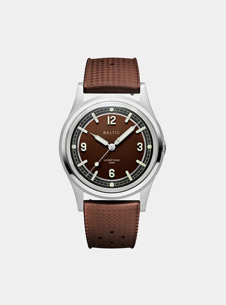 Baltic salmon online watch