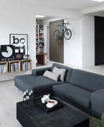 Scandinavian Designer Living