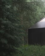 Cabin in the Forest by Tomek Michalski