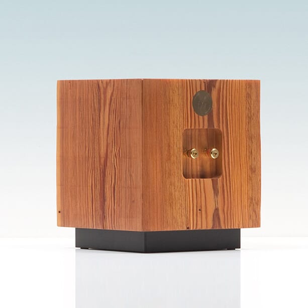 opumo-fern-roby-cube-speaker-content32