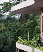 Planchonella House by Jesse Bennett