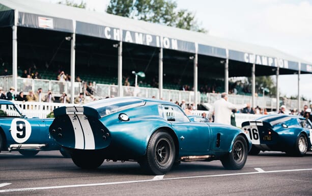 shelby-cobra-goodwood-03