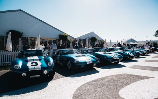 shelby-cobra-goodwood-05