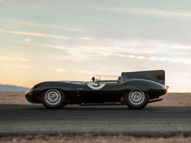 Jaguar-dtype-long-nose-4