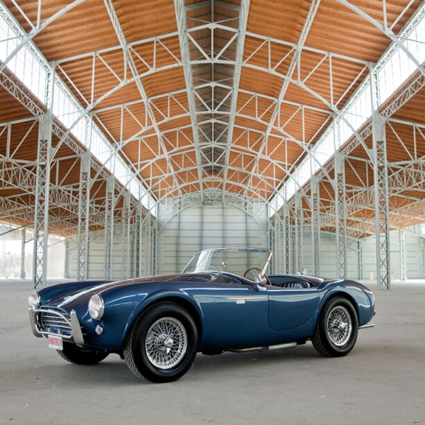 Shelby-Cobra-289--1