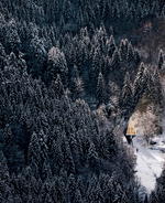 Single Pole Treehouse by Konrad Wojcik  