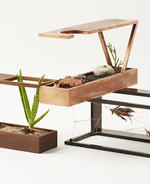 Plant-In Mini Collection by Home Made NYC