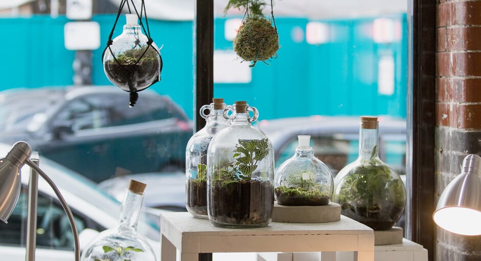 London Terrariums OPUMO Magazine