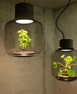 Lamp Mygdal by Nui Studio