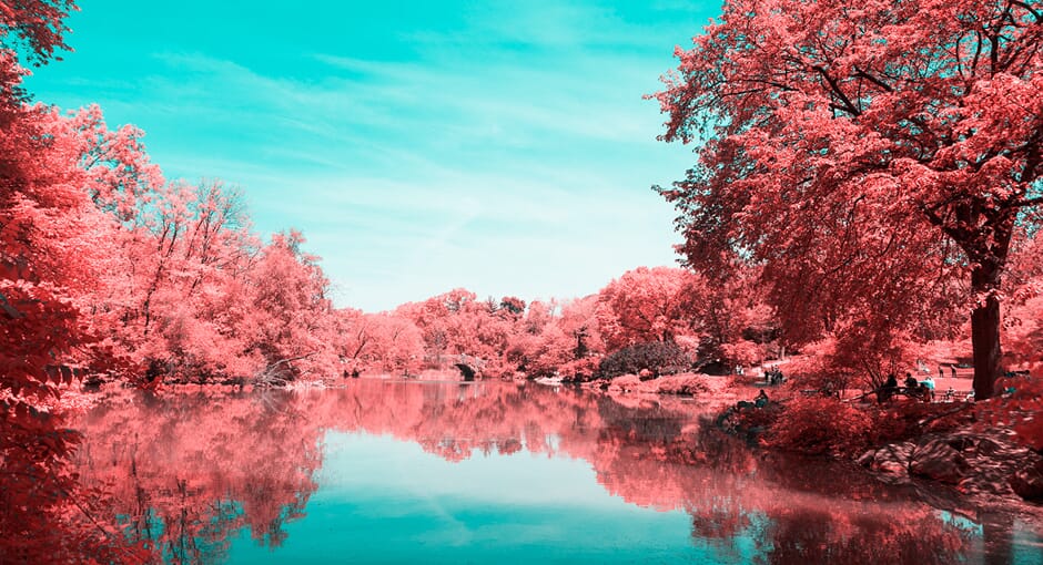 NYC’s Central Park by Paolo Pettigiani