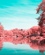 NYC’s Central Park by Paolo Pettigiani