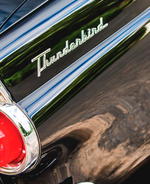 1955 Ford Thunderbird