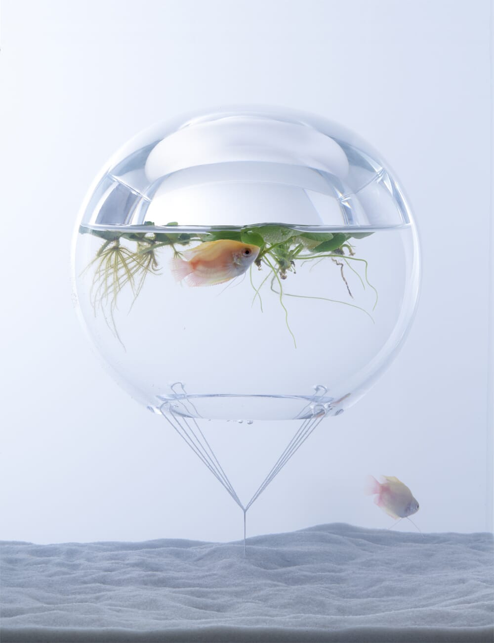 waterscape aquariums by huraka misawa