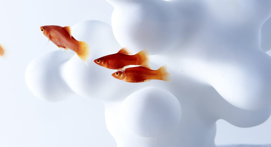 Waterscape Aquariums by Haruka Misawa