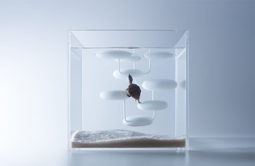 waterscape aquariums by huraka misawa5