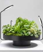 Into the light: The Virade Collection by Goula Figuera