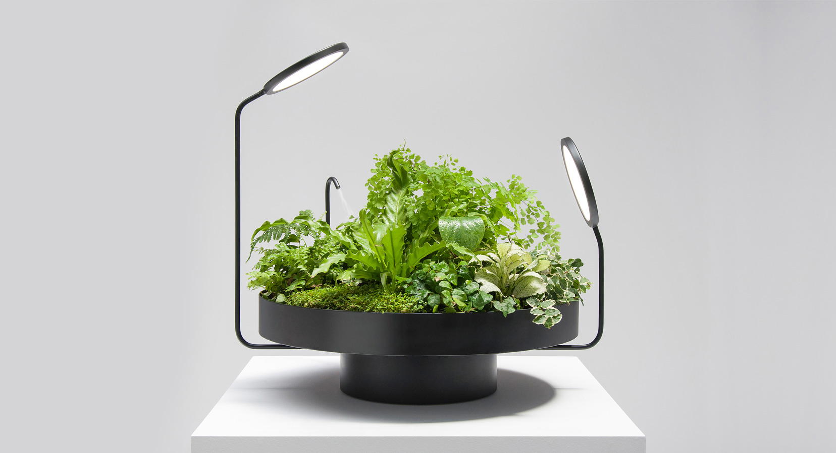 Into the light: The Virade Collection by Goula Figuera