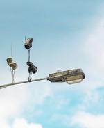 Downside Up by Pejac