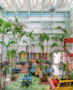 An Urban Oasis: Taller Ken Transforms Madero Café with Tropical Plants &amp; Vintage Cars