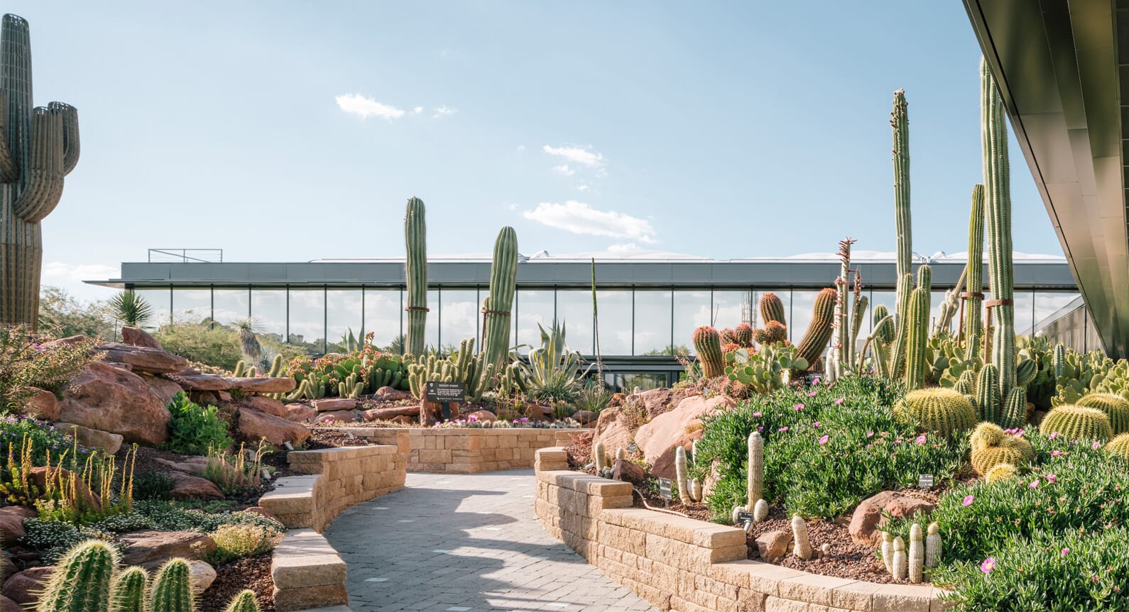 Madrid’s Spectacular Desert City Complex Celebrates All Things Cacti