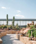 Madrid’s Spectacular Desert City Complex Celebrates All Things Cacti