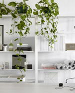 Take A Look Inside The Stella Collective Studio In Melbourne