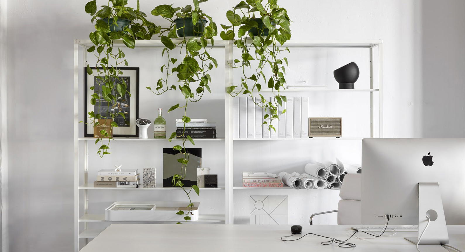Take A Look Inside The Stella Collective Studio In Melbourne