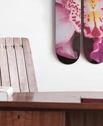 The Skateroom Drops A Pair Of All-New Art Decks