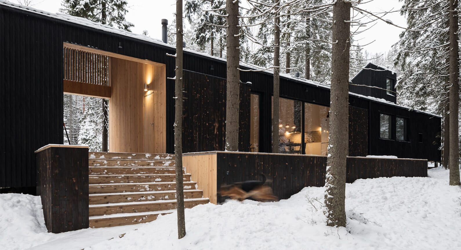 Take A Retreat Into The Woods With The House In Roschino