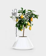 Vitamin Launches A New Range Of Furniture, Lighting &amp; Homeware