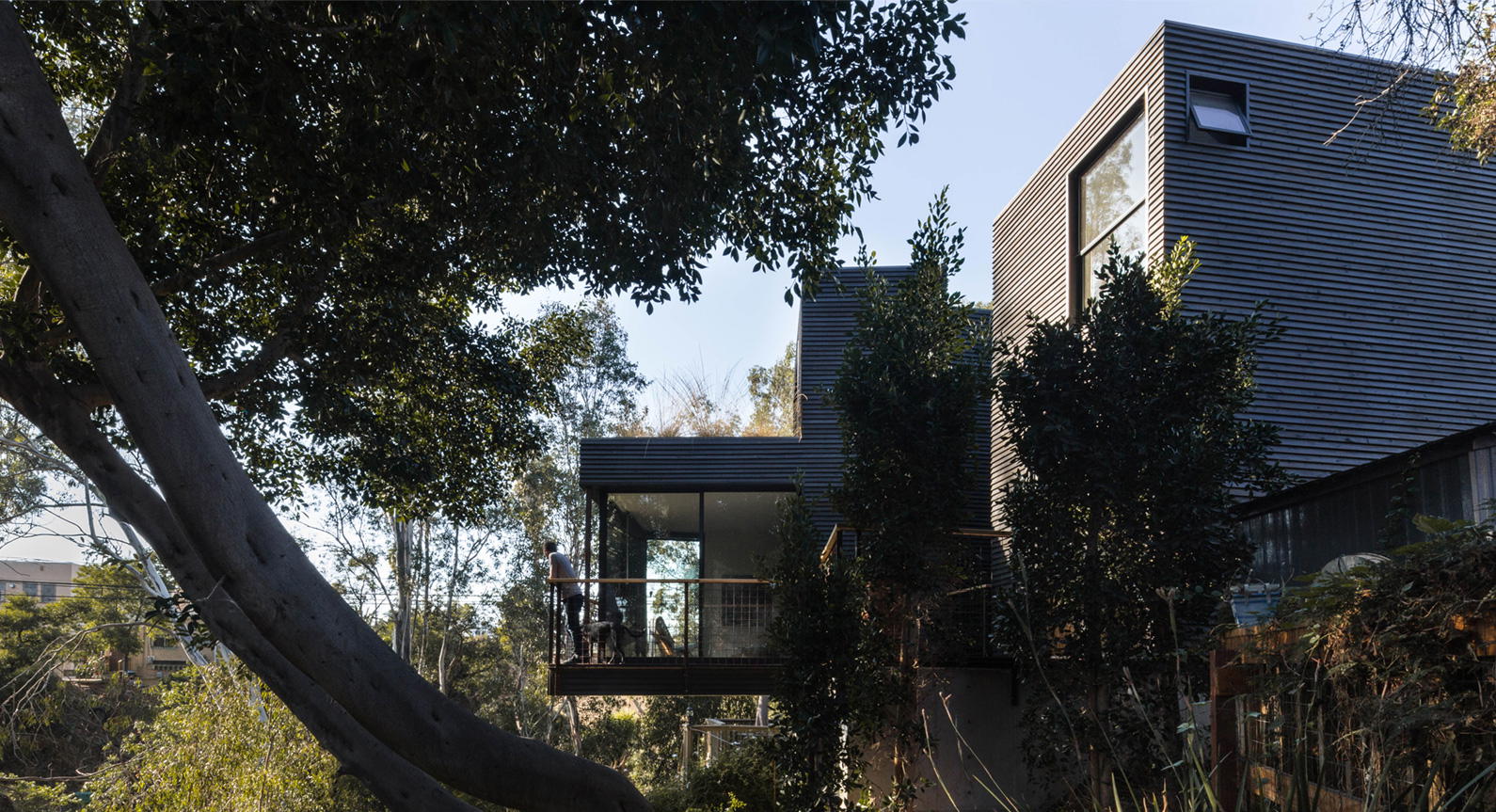 California Dreaming: The Remarkable Canyon House In San Diego