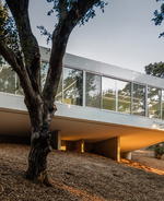 This Modern Family Home Floats High Above The Tree Tops
