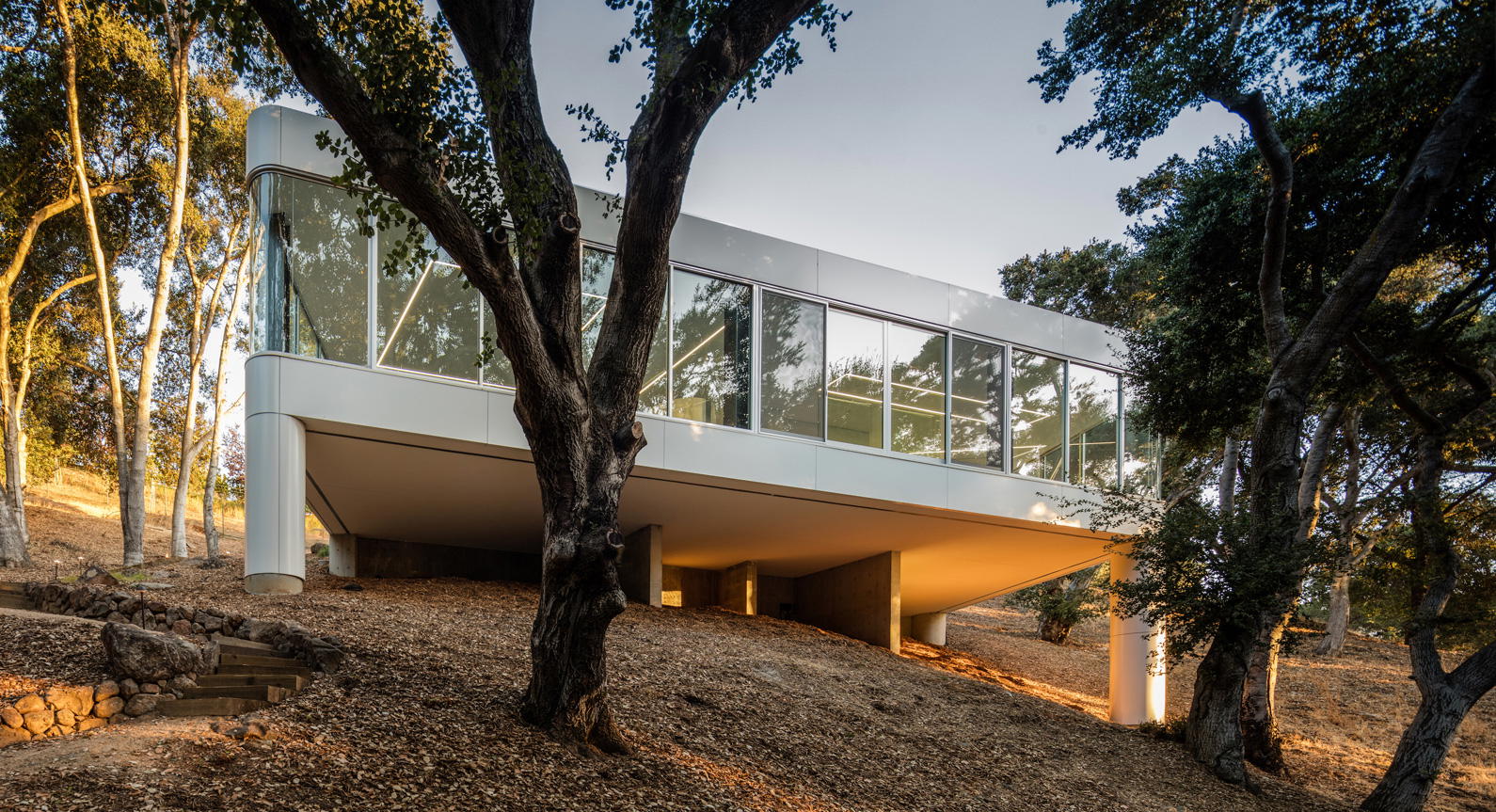 This Modern Family Home Floats High Above The Tree Tops