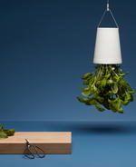 Why You Need The Boskke Sky Planter And How To Use It