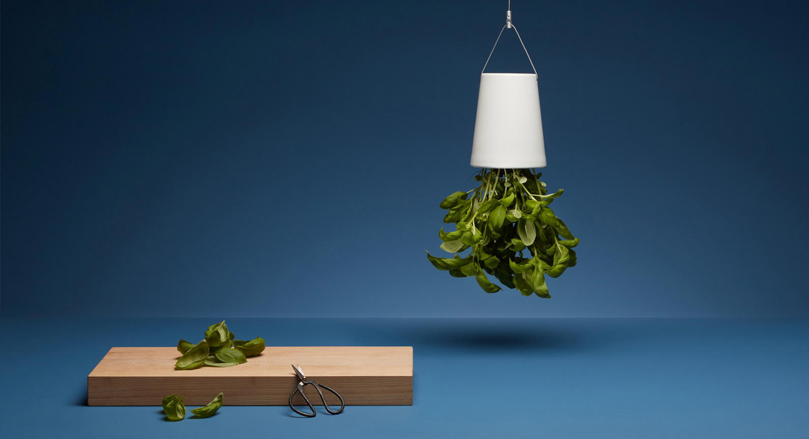 Why You Need The Boskke Sky Planter And How To Use It